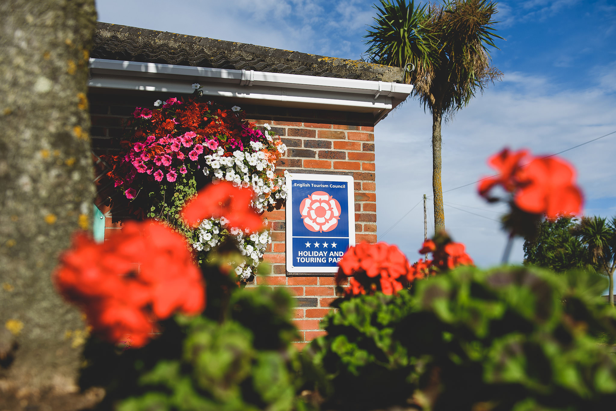 Green Farm Caravan Park Caravan Holidays on the East Norfolk Coast, Great Yarmouth Green Farm Caravan Park Caravan Holidays on the East Norfolk Coast, Great Yarmouth